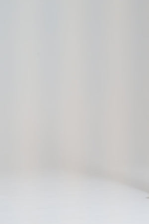 Vanessa Corset Midi Dress